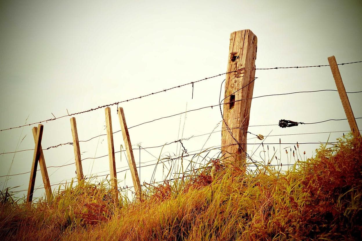 Shift-Left Security in the CI/CD Pipeline